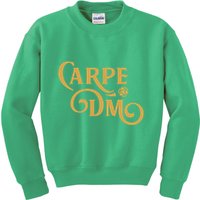 Carpe Dm Dungeon Master Tabletop Rpg Gaming Kids Sweatshirt