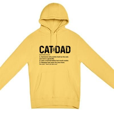 Cat Dad Definition Like Normal Only Cooler Best Father Cute Gift Premium Pullover Hoodie