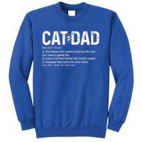 Cat Dad Definition Like Normal Only Cooler Best Father Cute Gift Sweatshirt