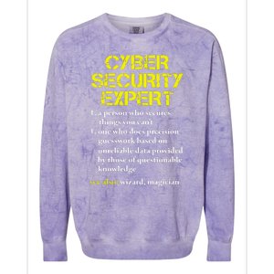 Cybersecurity Definition Expert Computer Engineer Colorblast Crewneck Sweatshirt