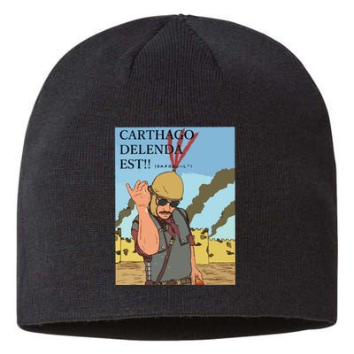 Carthago Delenda Est Funny Meme Sustainable Beanie