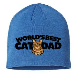 Cat Dad Funny Cat Person Humor Gift Sustainable Beanie