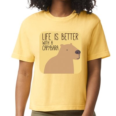 Capybara Design for Capibara Owner Cool Mammal  Comfort Colors Boxy T-Shirt