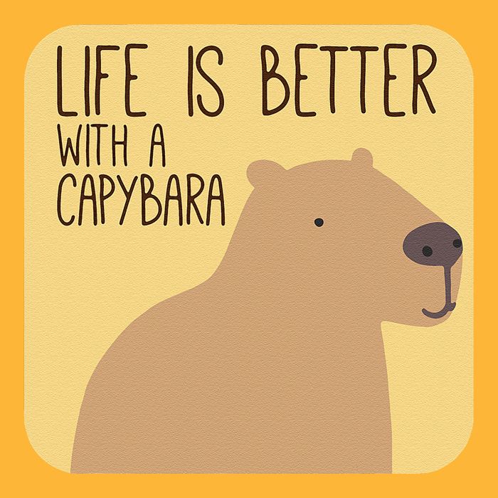 Capybara Design for Capibara Owner Cool Mammal  Pom Pom 12in Knit Beanie