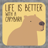 Capybara Design for Capibara Owner Cool Mammal  Tall Hoodie