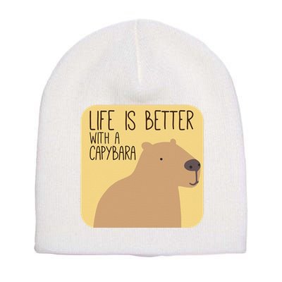 Capybara Design for Capibara Owner Cool Mammal  Short Acrylic Beanie