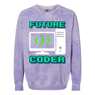 Coder Design Funny Programmer Computer Science Gift Colorblast Crewneck Sweatshirt