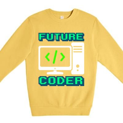 Coder Design Funny Programmer Computer Science Gift Premium Crewneck Sweatshirt