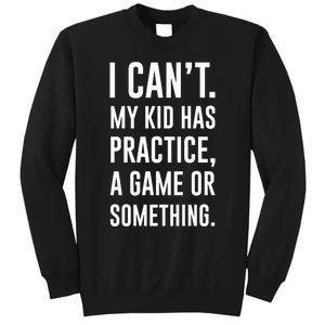 Crazy Dog Funny I Cant My Has Practice A Game Or Something Mo Sweatshirt