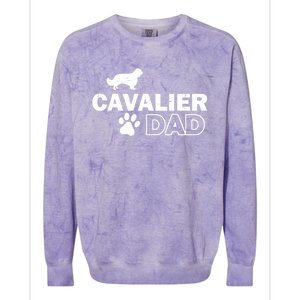 Cavalier Dad Funny Cute Dog Owner Adopt Rescue Fathers Day Gift Colorblast Crewneck Sweatshirt