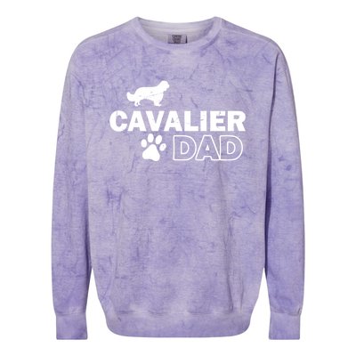 Cavalier Dad Funny Cute Dog Owner Adopt Rescue Fathers Day Gift Colorblast Crewneck Sweatshirt