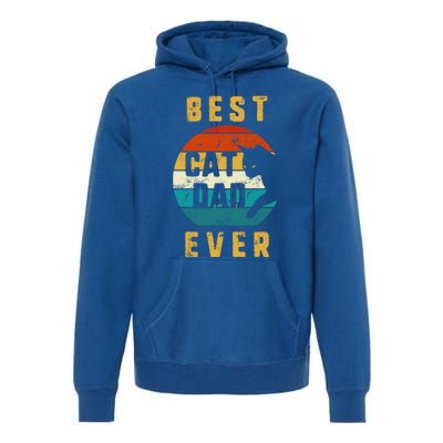 Cat Dad Father Cats Funny For Son Nephew Best Cat Dad Ever Gift Premium Hoodie