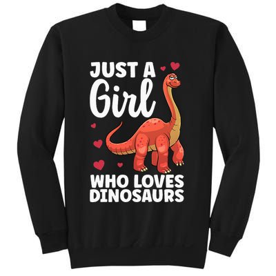 Cool Dinosaur For T Rex Dino Lovers Stegosaurus Sweatshirt