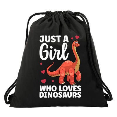 Cool Dinosaur For T Rex Dino Lovers Stegosaurus Drawstring Bag
