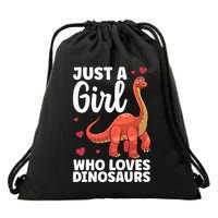 Cool Dinosaur For T Rex Dino Lovers Stegosaurus Drawstring Bag