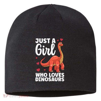 Cool Dinosaur For T Rex Dino Lovers Stegosaurus Sustainable Beanie