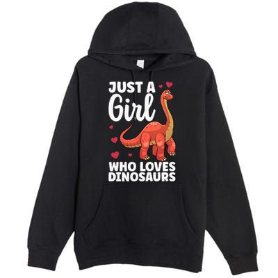 Cool Dinosaur For T Rex Dino Lovers Stegosaurus Premium Pullover Hoodie