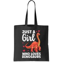 Cool Dinosaur For T Rex Dino Lovers Stegosaurus Bag