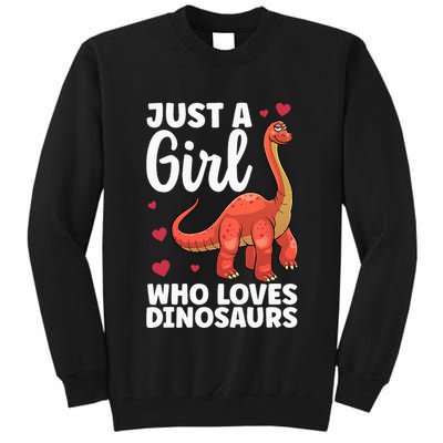 Cool Dinosaur For T Rex Dino Lovers Stegosaurus Tall Sweatshirt