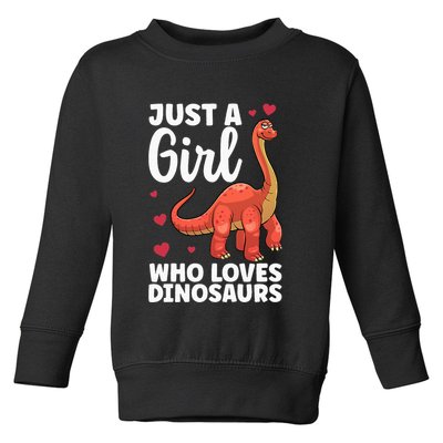 Cool Dinosaur For T Rex Dino Lovers Stegosaurus Toddler Sweatshirt