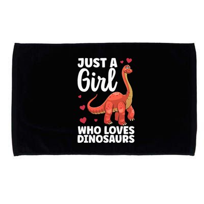 Cool Dinosaur For T Rex Dino Lovers Stegosaurus Microfiber Hand Towel
