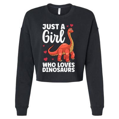 Cool Dinosaur For T Rex Dino Lovers Stegosaurus Cropped Pullover Crew