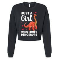 Cool Dinosaur For T Rex Dino Lovers Stegosaurus Cropped Pullover Crew