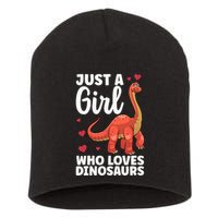 Cool Dinosaur For T Rex Dino Lovers Stegosaurus Short Acrylic Beanie