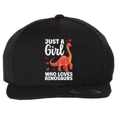Cool Dinosaur For T Rex Dino Lovers Stegosaurus Wool Snapback Cap