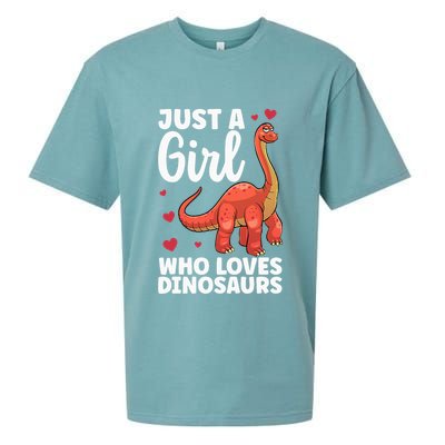 Cool Dinosaur For T Rex Dino Lovers Stegosaurus Sueded Cloud Jersey T-Shirt