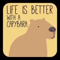 Capybara Design For Capibara Owner Cool Mammal Bucket Hat