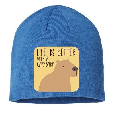 Capybara Design For Capibara Owner Cool Mammal Sustainable Beanie