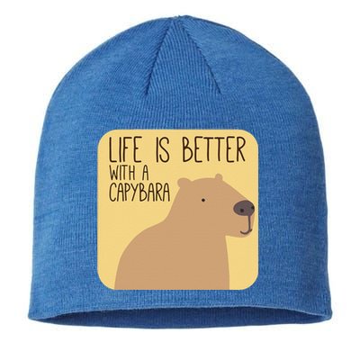 Capybara Design For Capibara Owner Cool Mammal Sustainable Beanie