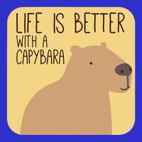 Capybara Design For Capibara Owner Cool Mammal Bag