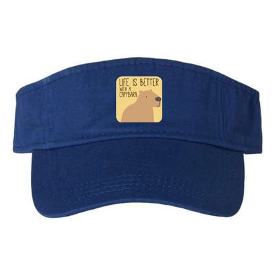 Capybara Design For Capibara Owner Cool Mammal Valucap Bio-Washed Visor