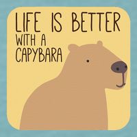 Capybara Design For Capibara Owner Cool Mammal Sueded Cloud Jersey T-Shirt