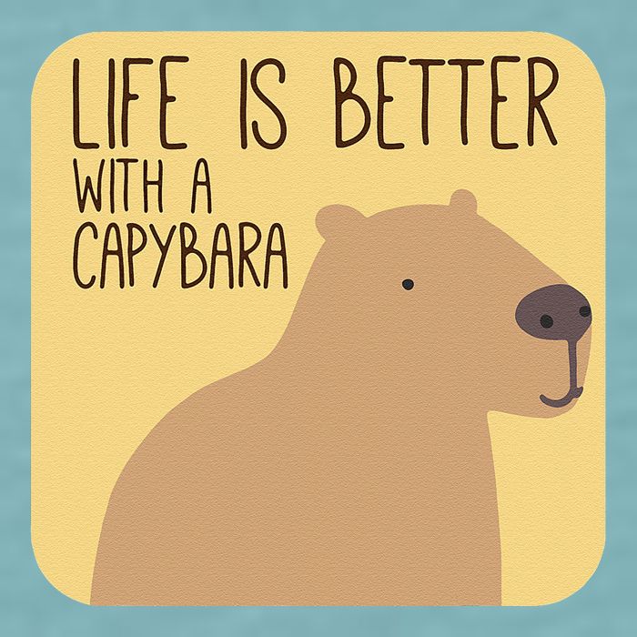 Capybara Design For Capibara Owner Cool Mammal Sueded Cloud Jersey T-Shirt