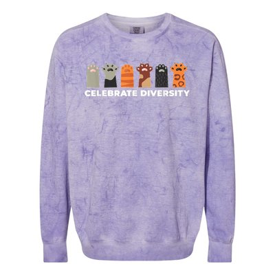 Celebrate Diversity Funny Cat Owner Gift For Cat Lover Paws Colorblast Crewneck Sweatshirt