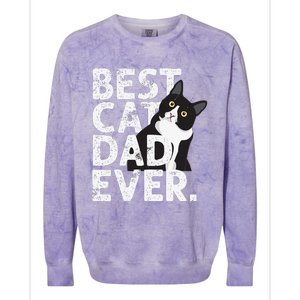 Cat Daddy Father Gift Best Cat Dad Ever Colorblast Crewneck Sweatshirt