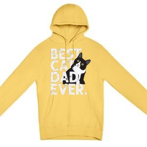 Cat Daddy Father Gift Best Cat Dad Ever Premium Pullover Hoodie