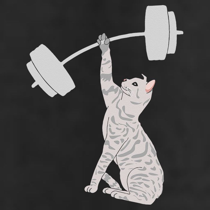 Cat Deadlifting Funny Fitness Gym Lover Cat BarBell Adult Drive Performance Visor