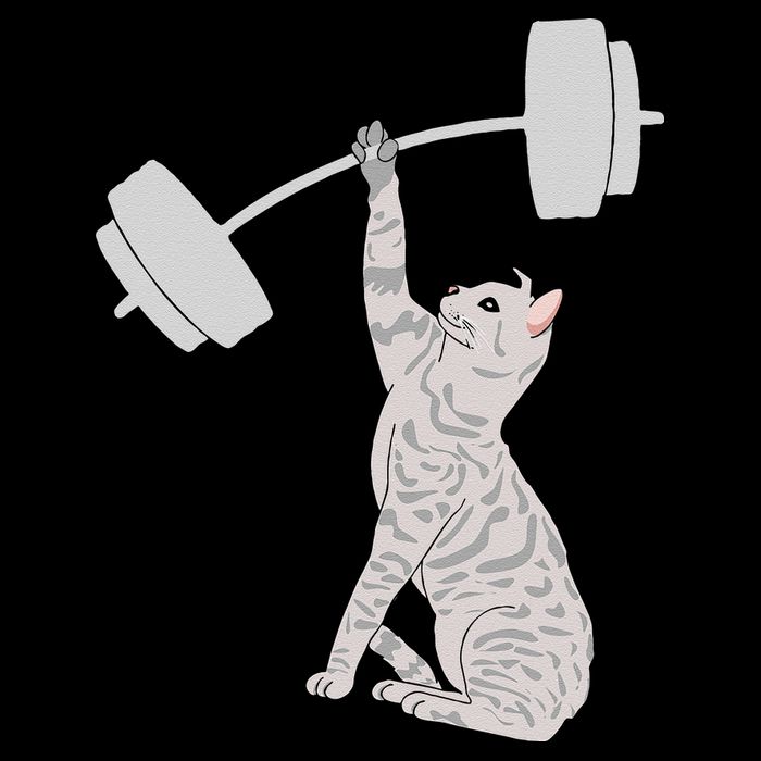 Cat Deadlifting Funny Fitness Gym Lover Cat BarBell 16 in Basic Backpack