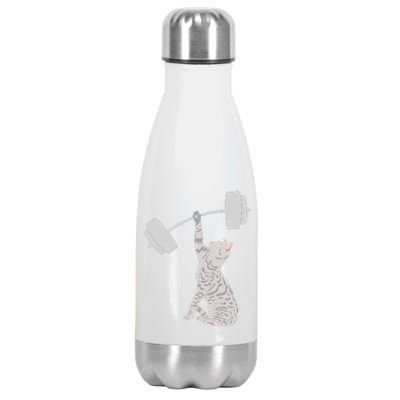 Cat Deadlifting Funny Fitness Gym Lover Cat BarBell Stainless Steel Insulated Water Bottle