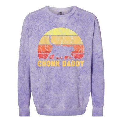 Chonk Daddy Fat Cat Dad Lover Meme Gifts Colorblast Crewneck Sweatshirt