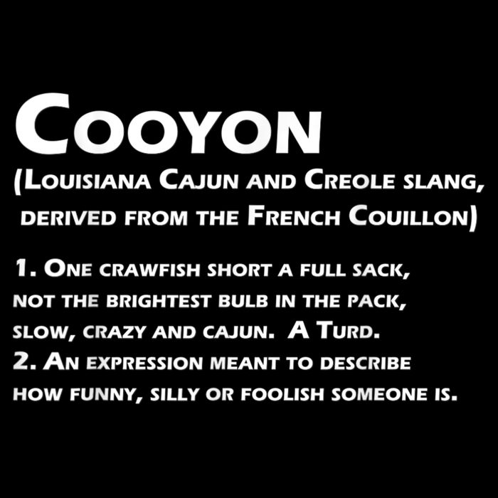 Cooyon Definition Funny Cajun Creole Coonass 16 in Basic Backpack