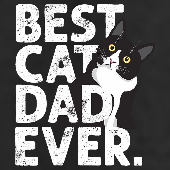 Cat Daddy Father Gift Best Cat Dad Ever 11oz C Handle Ceramic Mug