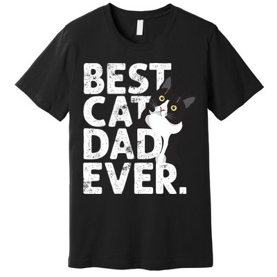 Cat Daddy Father Gift Best Cat Dad Ever Premium T-Shirt