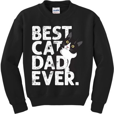 Cat Daddy Father Gift Best Cat Dad Ever Kids Sweatshirt