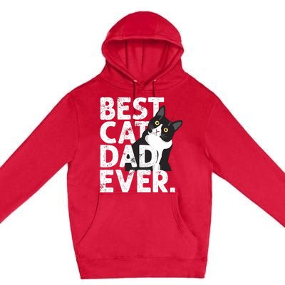 Cat Daddy Father Gift Best Cat Dad Ever Premium Pullover Hoodie