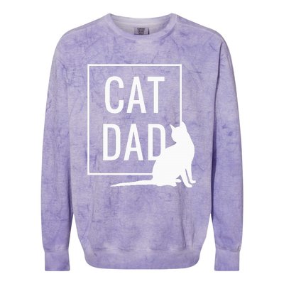 Cat Dad Funny Cat Owner Father Colorblast Crewneck Sweatshirt